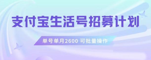 支付宝生活号作者招募计划，单号单月2600，可批量去做，工作室一人一个月轻松1w+【揭秘】-极速轻创