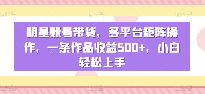 明星账号带货，多平台矩阵操作，一条作品收益500+，小白轻松上手【揭秘】-极速轻创