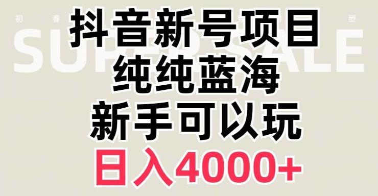 抖音蓝海赛道，必须是新账号，日入4000+【揭秘】-极速轻创