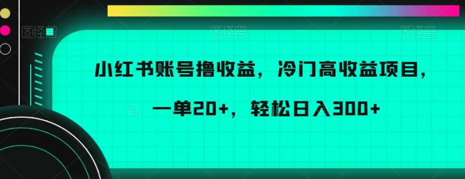 小红书账号撸收益，冷门高收益项目，一单20+，轻松日入300+【揭秘】-极速轻创