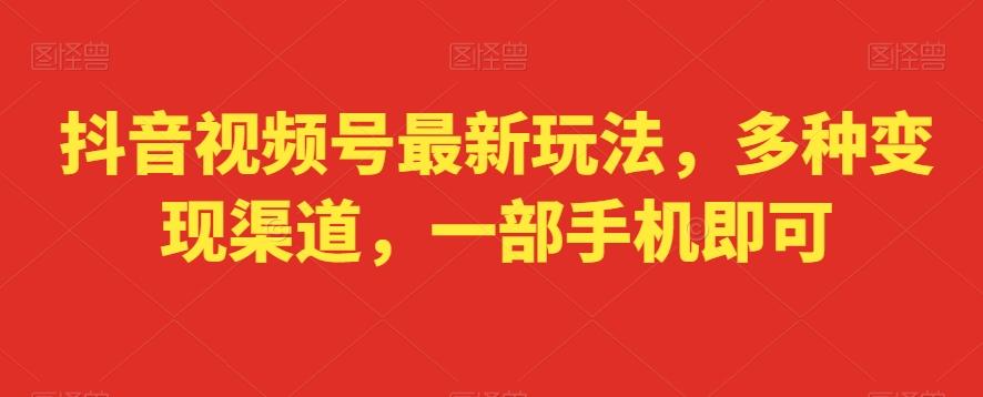 抖音视频号最新玩法，多种变现渠道，一部手机即可-极速轻创