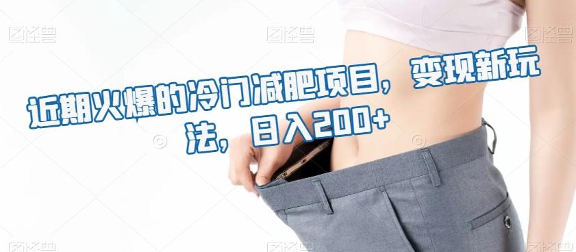 近期火爆的冷门减肥项目，变现新玩法，日入200+-极速轻创