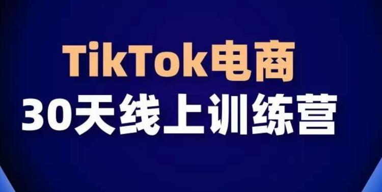 TikTok电商带货30天线上课，不可错过的全球流量洼地！-极速轻创