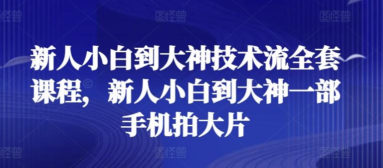新人小白到大神技术流全套课程，新人小白到大神一部手机拍大片-极速轻创