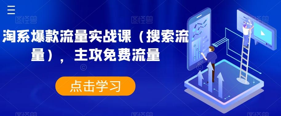 淘系爆款流量实战课（搜索流量），主攻免费流量-极速轻创