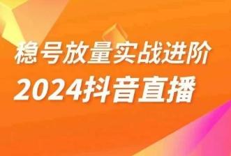 稳号放量实战进阶—2024抖音直播，直播间精细化运营的几大步骤-极速轻创