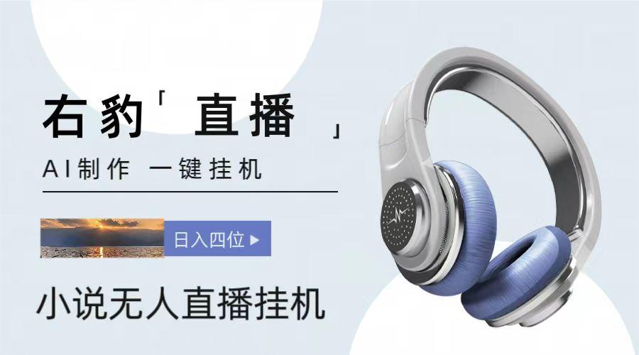 右豹小说无人直播挂机吸金项目，简单易行收益稳定， 月入1000+-极速轻创
