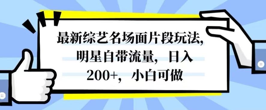 最新综艺名场面片段玩法，明星自带流量，日入200+，小白可做【揭秘】-极速轻创