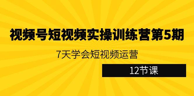 视频号短视频实操训练营第5期：7天学会短视频运营(12节课)-极速轻创