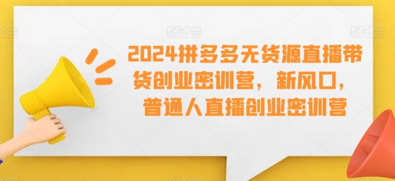 2024拼多多无货源直播带货创业密训营，新风口，普通人直播创业密训营-极速轻创