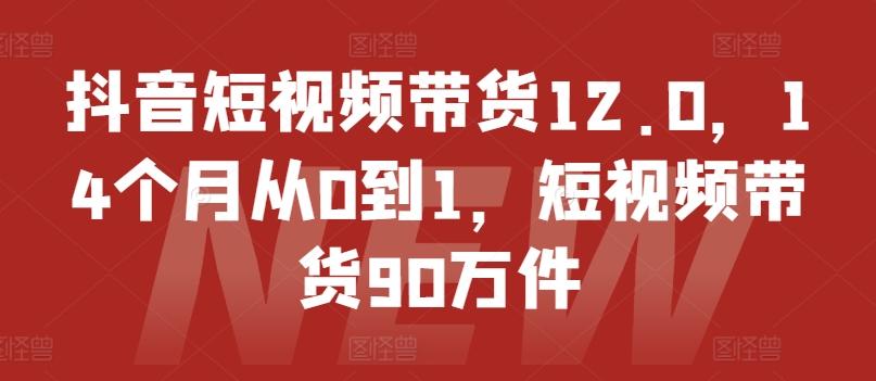 抖音短视频带货12.0，14个月从0到1，短视频带货90万件-极速轻创