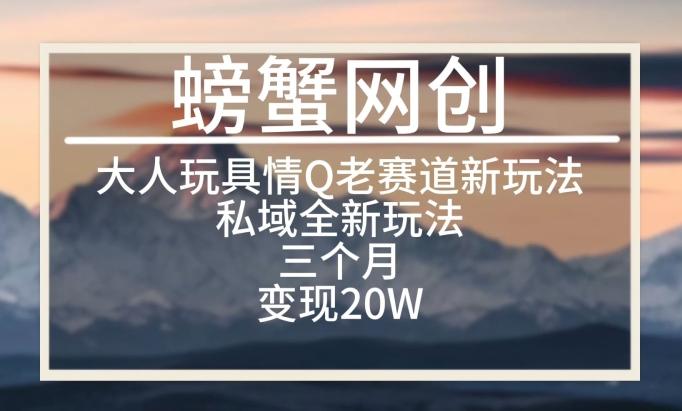 大人玩具情Q用品赛道私域全新玩法，三个月变现20W，老项目新思路【揭秘】-极速轻创