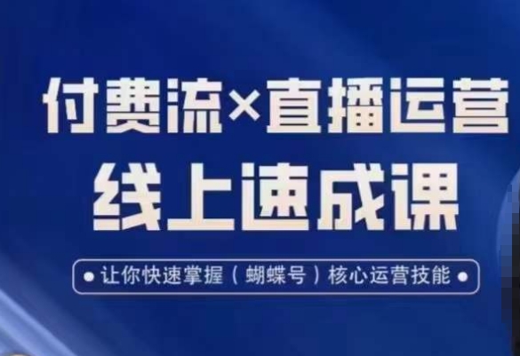 视频号付费流实操课程，付费流✖️直播运营速成课，让你快速掌握视频号核心运营技能-极速轻创