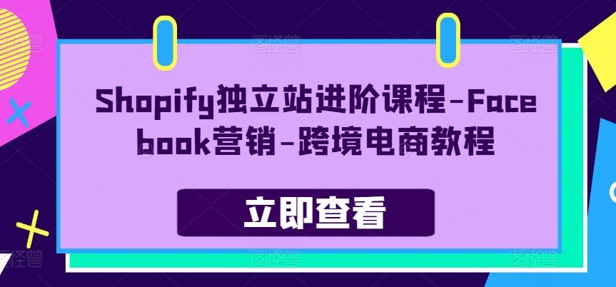 Shopify独立站进阶课程-Facebook营销-跨境电商教程-极速轻创
