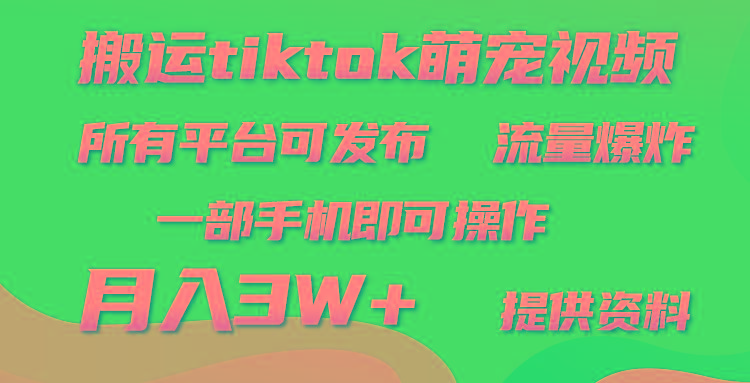 (9618期)搬运Tiktok萌宠类视频，一部手机即可。所有短视频平台均可操作，月入3W+-极速轻创