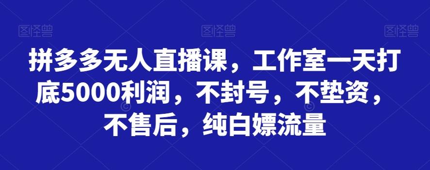 拼多多无人直播课，工作室一天打底5000利润，不封号，不垫资，不售后，纯白嫖流量-极速轻创