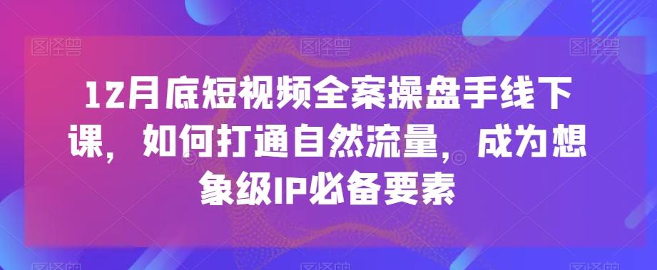 12月底短视频全案操盘手线下课，如何打通自然流量，成为想象级IP必备要素-极速轻创