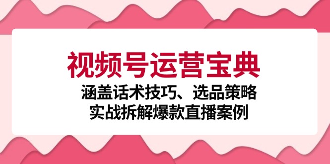 视频号运营宝典：涵盖话术技巧、选品策略、实战拆解爆款直播案例-极速轻创