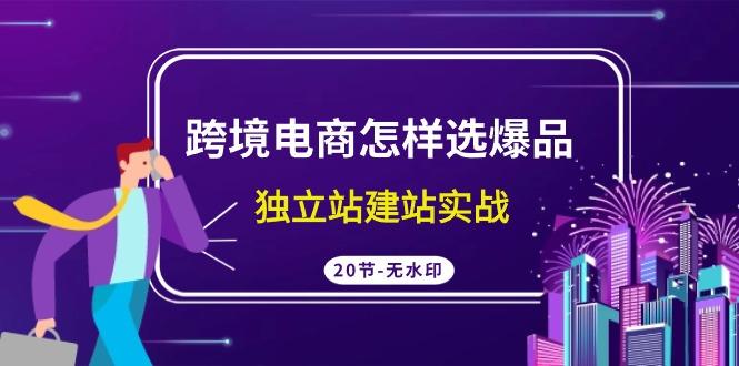 (9369期)跨境电商怎样选爆品，独立站建站实战(20节高清无水印课)-极速轻创