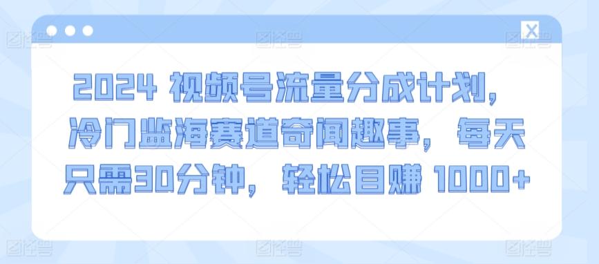 2024视频号流量分成计划，冷门监海赛道奇闻趣事，每天只需30分钟，轻松目赚 1000+【揭秘】-极速轻创