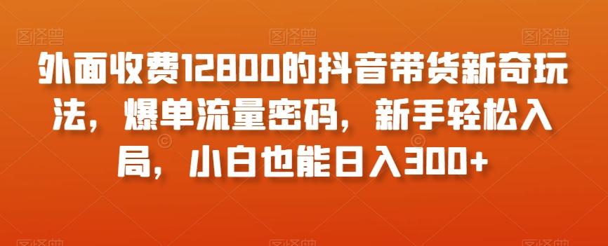 外面收费12800的抖音带货新奇玩法，爆单流量密码，新手轻松入局，小白也能日入300+【揭秘】-极速轻创