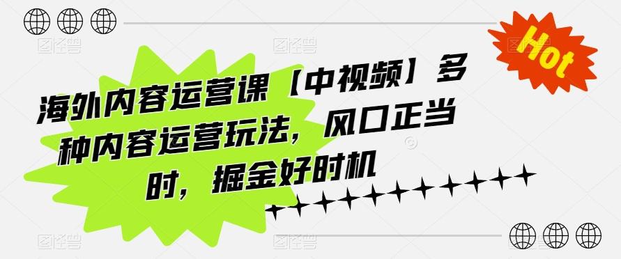 海外内容运营课【中视频】多种内容运营玩法，风口正当时，掘金好时机-极速轻创