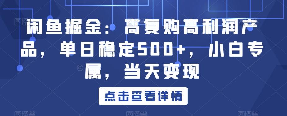 闲鱼掘金：高复购高利润产品，单日稳定500+，小白专属，当天变现-极速轻创