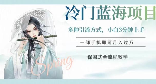 冷门蓝海项目，操作简单，小白3分钟上手，多种引流方式，保姆式全流程教学【揭秘】-极速轻创