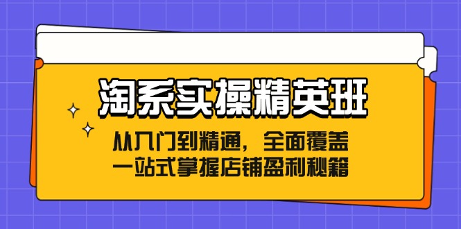 淘系实操精英班：从入门到精通，全面覆盖，一站式掌握店铺盈利秘籍-极速轻创