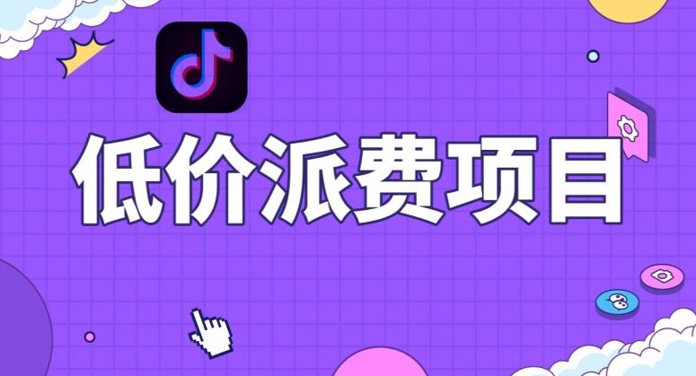 抖音低价派单项目，0门槛，日入1000+很轻松，小白可操作【揭秘】-极速轻创