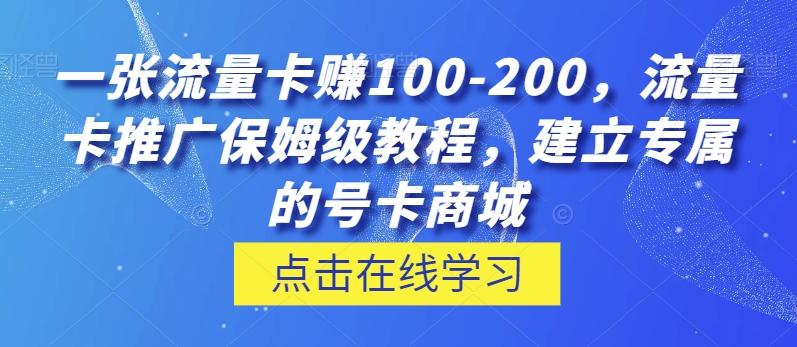 一张流量卡赚100-200，流量卡推广保姆级教程，建立专属的号卡商城-极速轻创