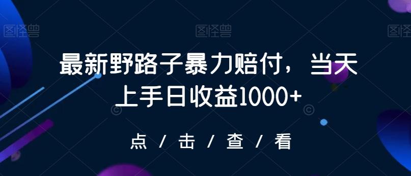 最新野路子暴力赔付，当天上手日收益1000+【仅揭秘】-极速轻创