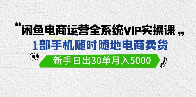 (9547期)闲鱼电商运营全系统VIP实战课，1部手机随时随地卖货，新手日出30单月入5000-极速轻创