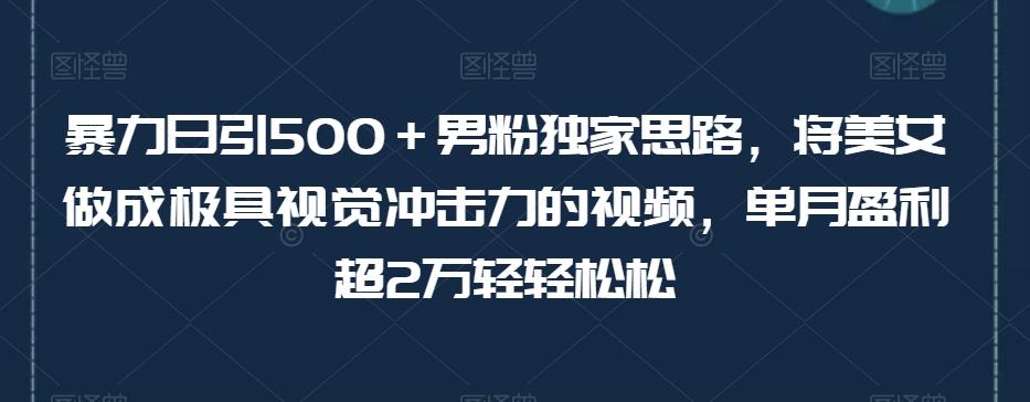 暴力日引500＋男粉独家思路，将美女做成极具视觉冲击力的视频，单月盈利超2万轻轻松松-极速轻创