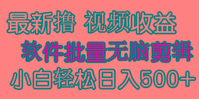 (9569期)发视频撸收益，软件无脑批量剪辑，第一天发第二天就有钱-极速轻创