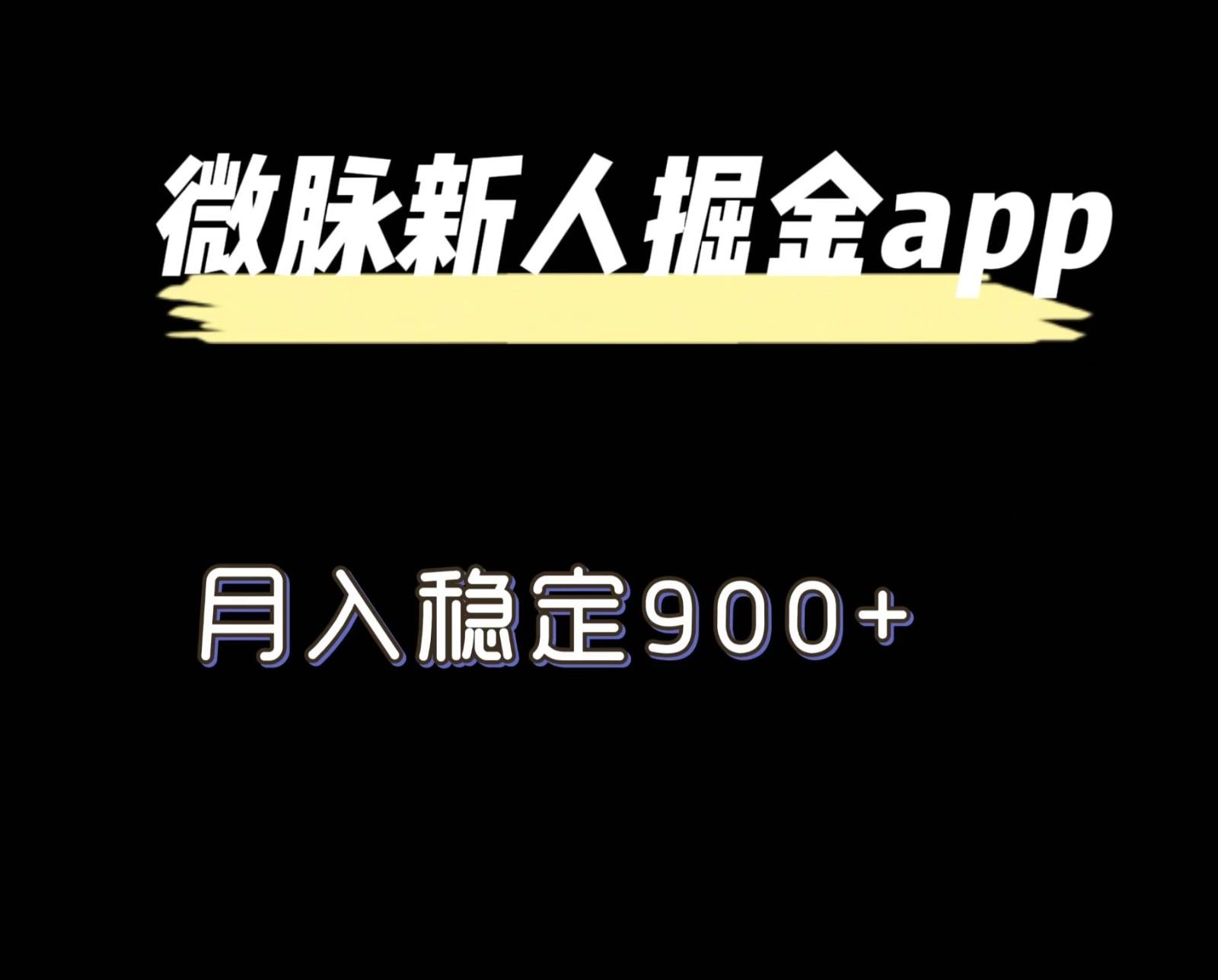 最新微脉长久项目，拉新掘金，月入稳定900+-极速轻创