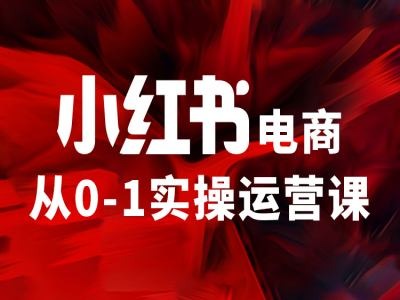 小红书电商从0-1实操运营课，让你从小白到精英-极速轻创