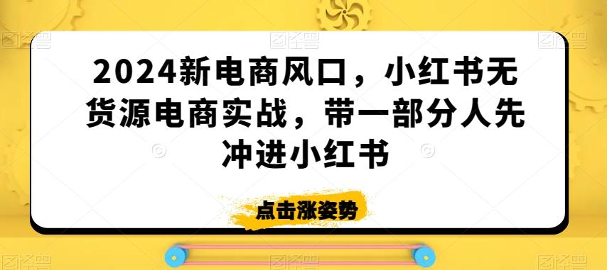 2024新电商风口，小红书无货源电商实战，带一部分人先冲进小红书-极速轻创
