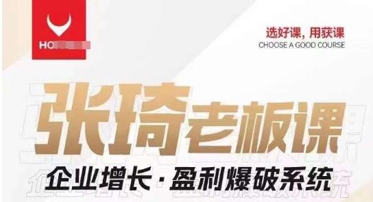 【组合课】张琦张琦老板企业增长·盈利爆破系统（直播专享）-极速轻创