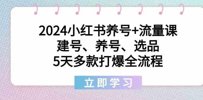 2024小红书养号+流量课：建号、养号、选品，5天多款打爆全流程-极速轻创