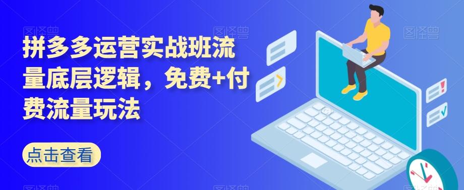 拼多多运营实战班流量底层逻辑，免费+付费流量玩法-极速轻创