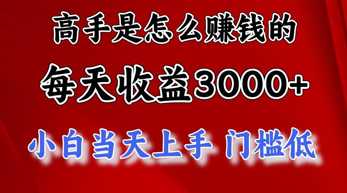 高手是怎么赚钱的，一天收益3000+，闷声发财项目，不是一般人能看懂的-极速轻创