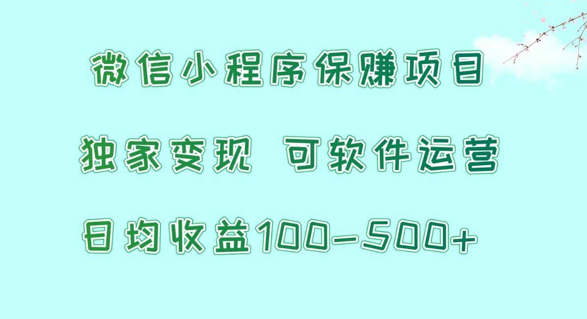 微信小程序保赚项目，日均收益100~500+，独家变现，可软件运营-极速轻创