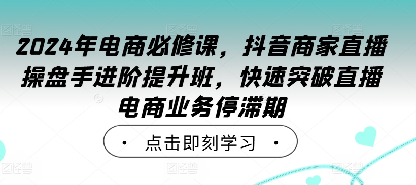 2024年电商必修课，抖音商家直播操盘手进阶提升班，快速突破直播电商业务停滞期-极速轻创