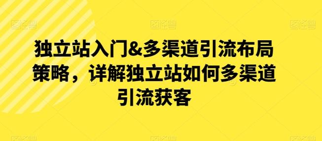 独立站入门&多渠道引流布局策略，详解独立站如何多渠道引流获客-极速轻创