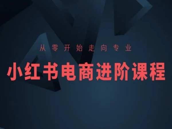 从零开始走向专业，小红书电商进阶课程-极速轻创