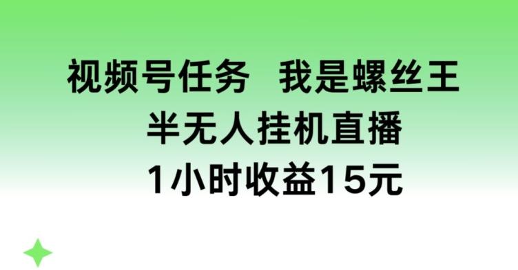 视频号任务，我是螺丝王， 半无人挂机1小时收益15元【揭秘】-极速轻创