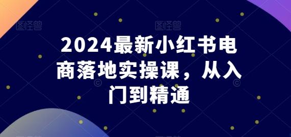 2024最新小红书电商落地实操课，从入门到精通-极速轻创