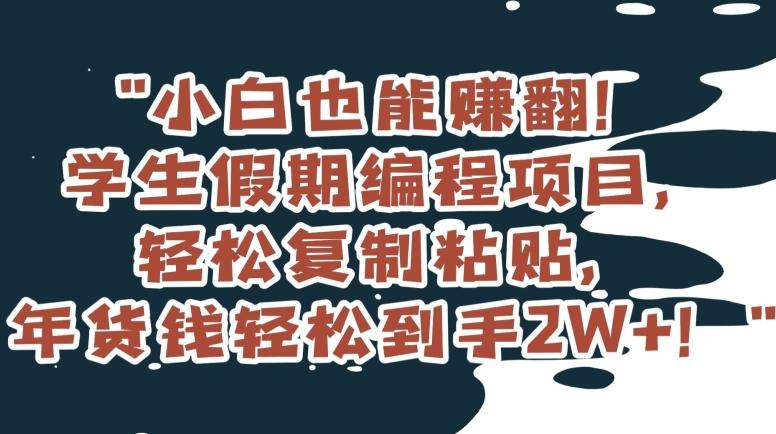 小白也能赚翻！学生假期编程项目，轻松复制粘贴，年货钱轻松到手2W+【揭秘】-极速轻创