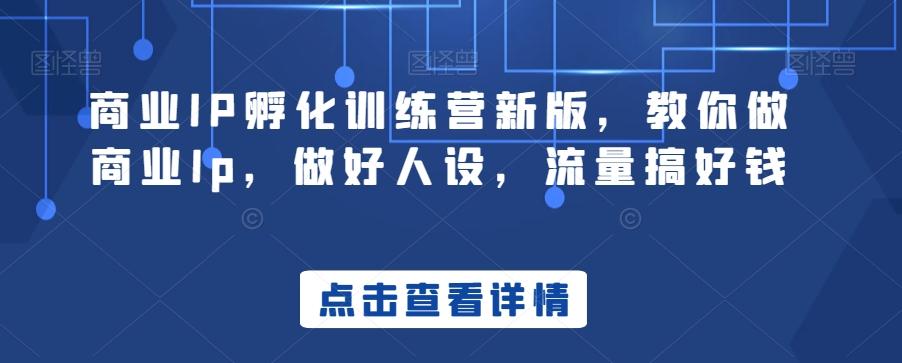 商业IP孵化训练营新版，教你做商业Ip，做好人设，流量搞好钱-极速轻创
